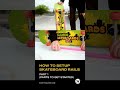 How To Setup Skateboard Rails Part 1 Skateboarding Skateboardrails Skaterails