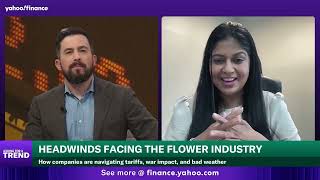 Mother's Day flowers to come with a bigger price tag this year