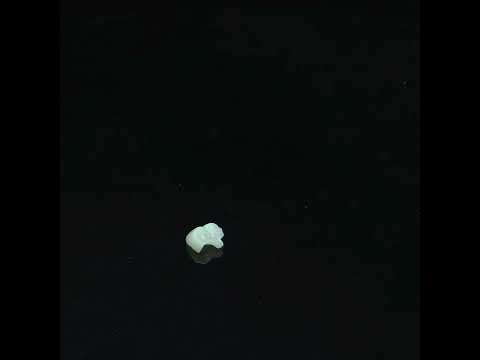 YouTube 썸네일