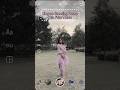 How To Pose In Suit Self Standing Elegant Photo Idea At Park Shortsvideo Viralshorts Pose