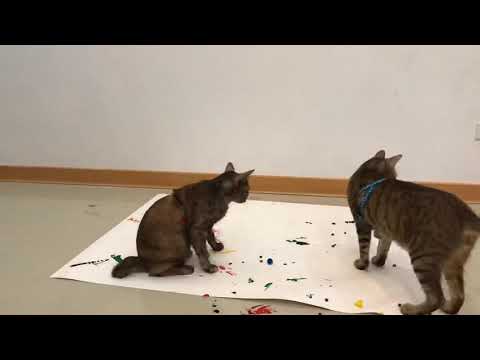 Cats Painting