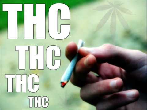 Wspólny Projekt - T.H.C