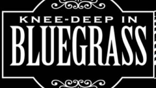 Honky Tonk Swing by Wingrass