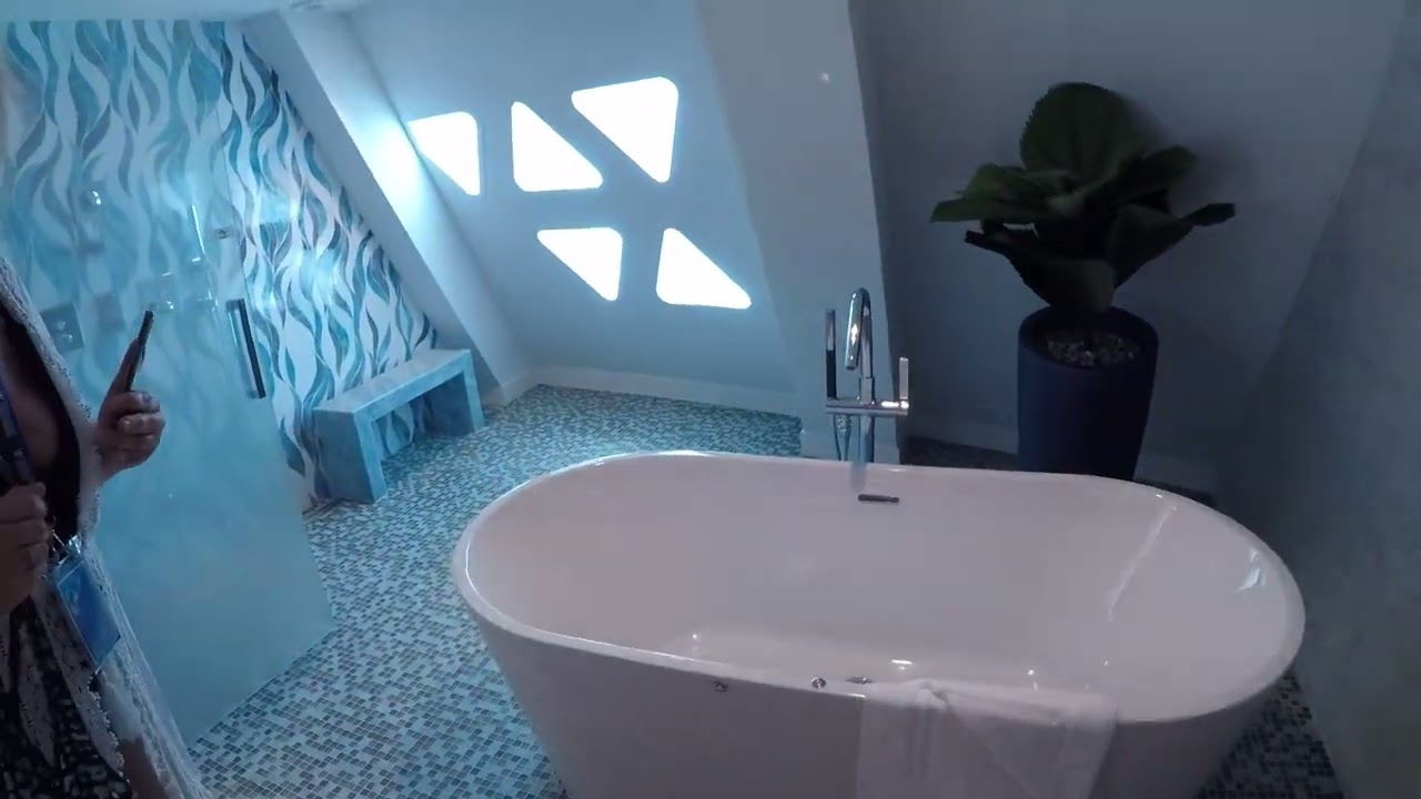 Wonder of the Seas - Cabin 1820 - Video 2