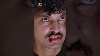 అన్నయ్యని చూసి క్షణం లో అవతారం మార్చేసింది | Yogi Movie | Prabhas | Nayanthara | #ytshorts