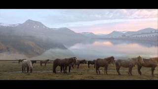 Nicholas David~Fresh (Official Video)