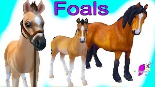 Training Foals ! Star Stable Horses App Online Horse Let's Play Game