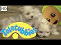 Teletubbies Puppies Full Episode