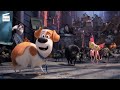 The Secret Life of Pets (3/9) | The cats and Animal Control | Cartoon for kids