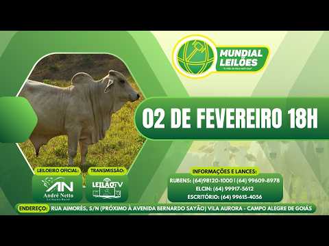 LEILÃO AO VIVO - MUNDIAL LEILÕES A MÃO DE DEUS ESTA AQUI - CAMPO ALEGRE DE GOIÁS - 02/02/2026