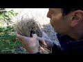 Enflammer Un Feu Avec Du Coton Carbonisé Et Un Silex