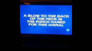 Donkey Punch Jeopardy
