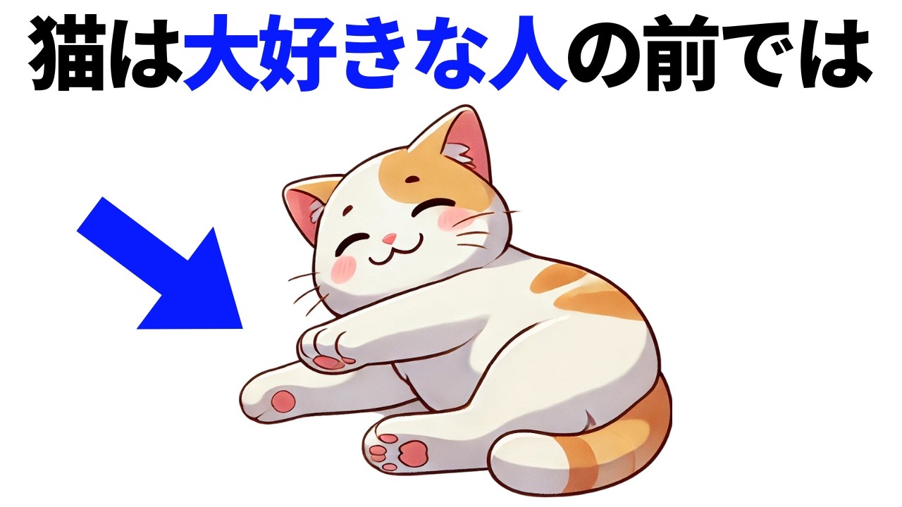 猫好き必見【猫の豆知識33選】ネコの不思議な行動・仕草の秘密 #雑学 #豆知識 #猫
