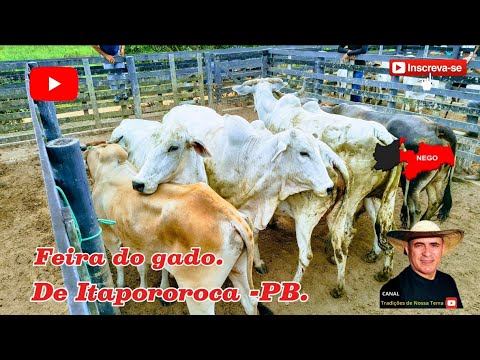 FEIRA DO GADO DE ITAPOROROCA - PB, A MAIS CHARMOSA DA REGIÃO.✅03/11/2025✅