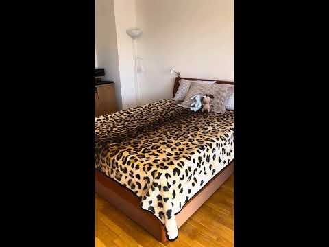 video 1