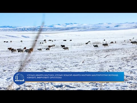 Улсын аварга малчин, улсын хошой аварга малчин шалгаруулах журамд нэмэлт, өөрчлөлт орууллаа