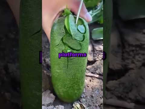 What's the funniest way a catfish's height was 8 inches off and they wore platform shoes?😂#shorts