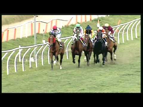 Galoppo 18/02/2020 - 3ª corsa