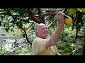 A Legacy Of Lemons On The Amalfi Coast 2013 The New York Times