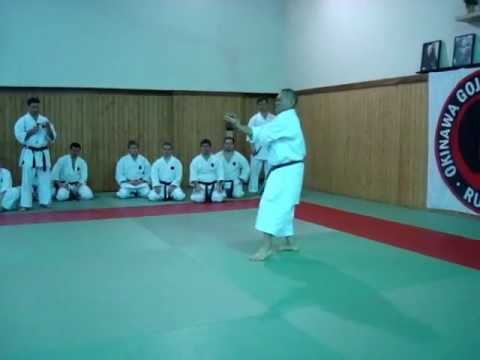 Seisan Goju Ryu, Sensei Kazuo Terauchi, bunkai variations