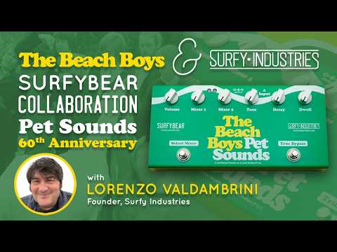 Immagine Surfy Industries Surfy Industries SurfyBear Compact Reverb Unit - The Beach Boys Pet Sounds 60th Anniversary Limited Edition 2026 2026 - Green - 2