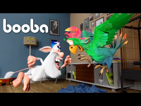 BOOBA AND MR BEAK THE PARROT 🦜 ALL EPISODES COMPILATION - FUNNY CARTOONS FOR KIDS - BOOBA ToonsTV