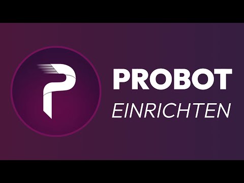 Discord Probot einrichten - Server Moderations Bot (2024)