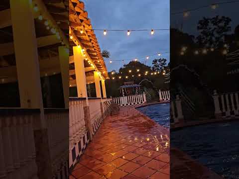 Socorro Santander espectacular.#socorro sucribete y comparte #viral #music #shorts #youtube