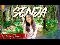 Senja Lintang Piscesa Official Musik Video