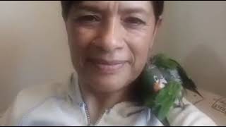 Miss Sarita: Saludos (27 marzo 2020)