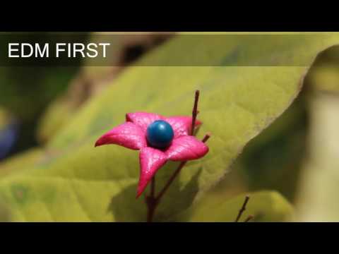 Spada Feat. Richard Judge - You & I - EDM First