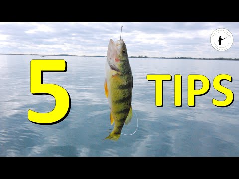Five Tips for Catching Great Lakes Perch