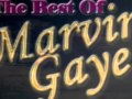 Marvin Gaye Cakes