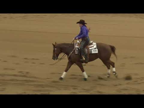 201030 Non Pro 7 & Up Kaylan Marks on Shiney Chexy Chic