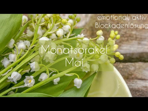 Monatsorakel: Mai 2020