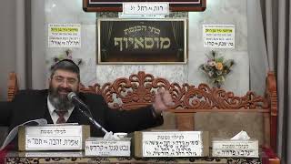 הרב אייל עמרמי | פרשת בא תשפ"ו | מוסאיוף (בית הכנסת מוסאיוף - ערוץ חדש) - התמונה מוצגת ישירות מתוך אתר האינטרנט יוטיוב. זכויות היוצרים בתמונה שייכות ליוצרה. קישור קרדיט למקור התוכן נמצא בתוך דף הסרטון