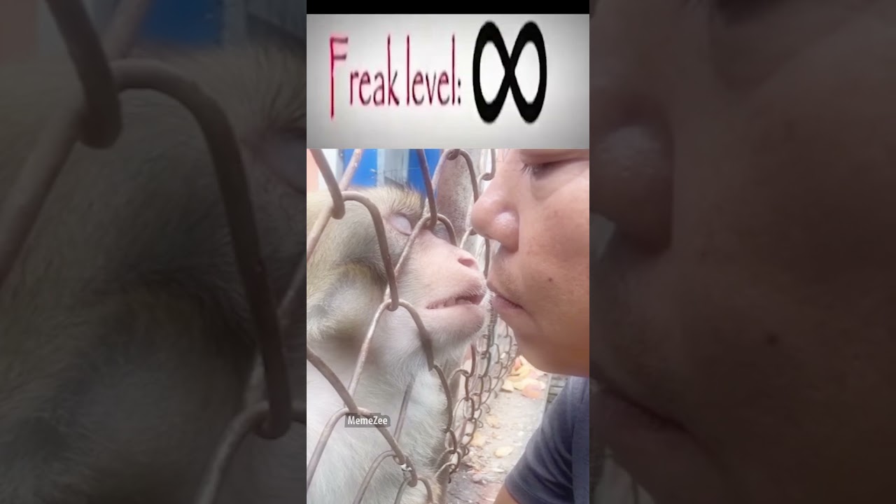 freak level: monkey