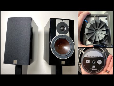 Dali Audio Rubicon 2 - Dane fine speakers!