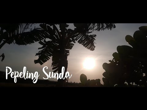 pepeling-sunda-muncangela-tanah-duriat