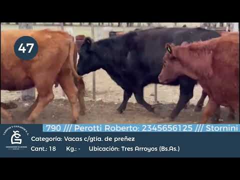 Lote Vc CGP - Tres Arroyos BS AS