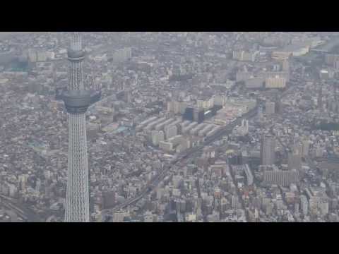 Tokyo Helicopter flight