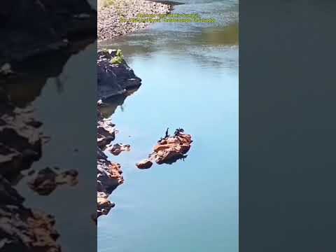 Río Sumpul, distrito de San José Las Flores, Chalatenango, El Salvador