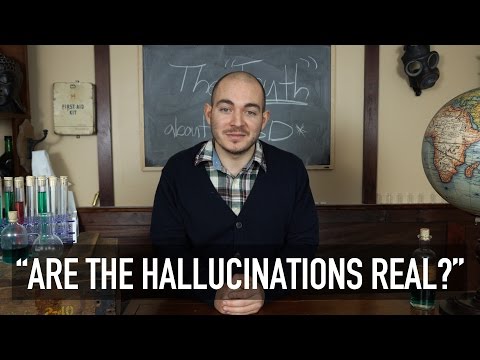 Acid/Shrooms Hallucinations | "The Truth"