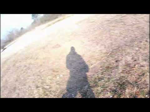 WartWagen (The Traceelords "Daddy Cool")