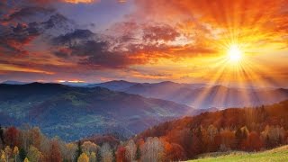 You Answered Me (with Vinesong)