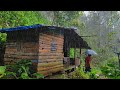 Tinggal Di Pondok Hutan Mengurus Kebun Kopi Di Guyur Hujan Deras ️ Siang Dan Malam Kedinginan