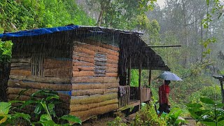 Download lagu Tinggal Di Pondok Hutan Mengurus Kebun Kopi - Di Guyur Hujan Deras 🌧️ Siang Dan Malam Kedinginan 🥶 mp3