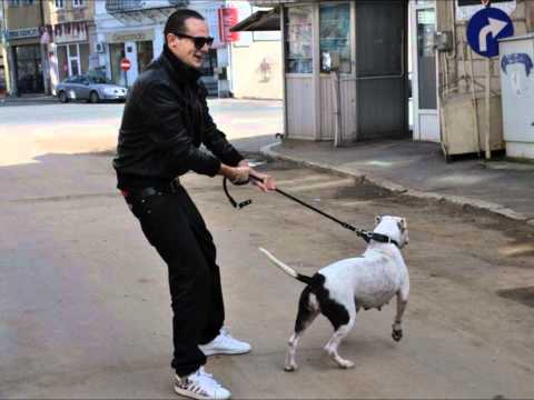 El Nino - Steaguri albe feat Mutu