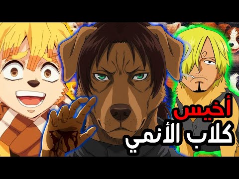 أخيس كلاب الأنمي. 17+