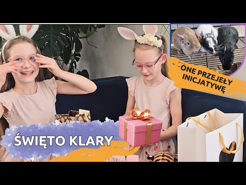 VLOG, który odnalazł się po miesiącu 🙈 | Imieniny Klary | Koszatniczki szaleją 🐭